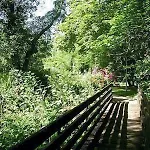 Le Tronçais 3* Saint-Bonnet-Tronçais