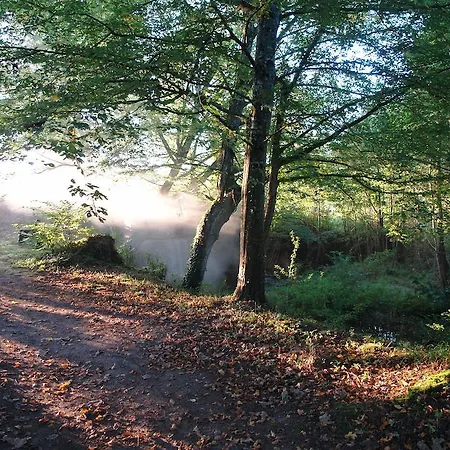 Le Troncais Отель Saint-Bonnet-Troncais