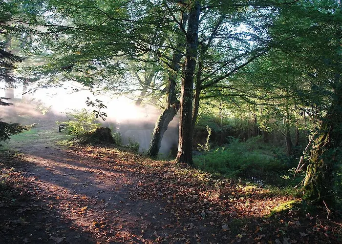 Le Troncais Hotel Saint-Bonnet-Tronçais
